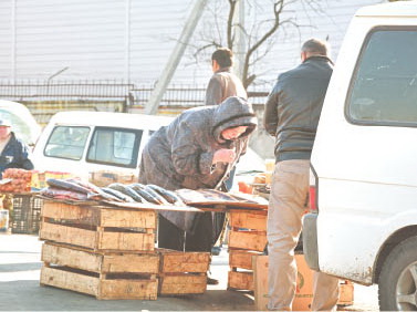 Рыба с асфальта вредит нашему здоровью