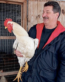 Курица - не птица, а гарант национальной безопасности