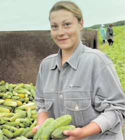 По огурцу каждому хабаровчанину