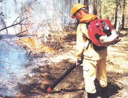 Воздушные огнеборцы высадились на Чукотке