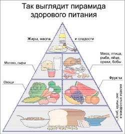 Не грузите организм калориями