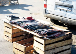 Ударим штрафами по нелегальной торговле