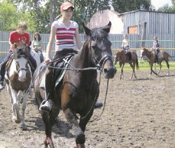 Добрый друг лошадь