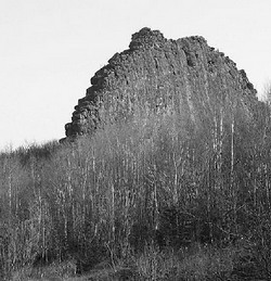 Камни Сизимана когда-то были деревьями