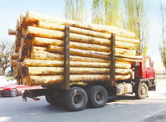«Аркаим» и «Амур-Форест» обогнали «Римбунан Хиджау»