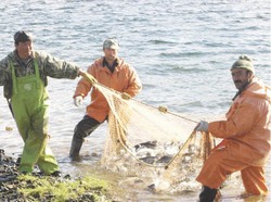 Как всё-таки вывести улов из тени