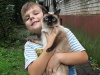 Костя Корниенко из Хабаровска со своей любимой кошкой Феней