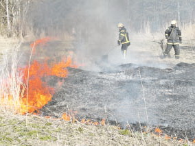 Не жгите сухую траву