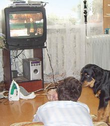 Сурдоперевод - дорогое удовольствие?