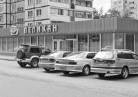 Веселуха возле «Пеликана»