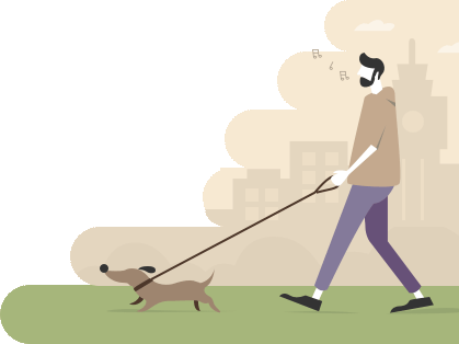 Как работает услуга выгула собак