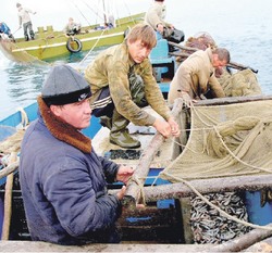 Куда завел Сусанино рыбопромысловый конкурс
