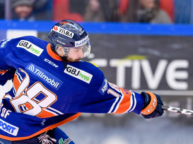 В «Амуре» появились канадцы