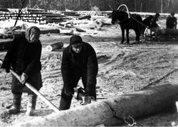 Счастливого вам пути в будущее!