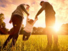 Более 360 семей удостоены почетного знака «За супружеское долголетие»