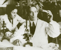 Улыбка профессора