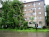 Тропический шторм: деревья напали на Хабаровск