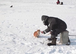 Теперь мы знаем, как пахнет хлорфенол в воде