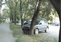 В Хабаровске принялись спасать газоны