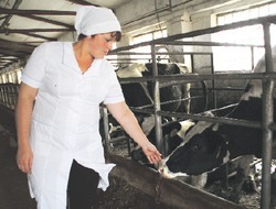 Как нам организовать РАБКРИН