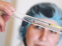 13 хабаровчан уже пострадали от клещей