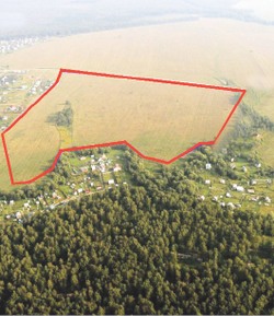 Дорогие мои гектары