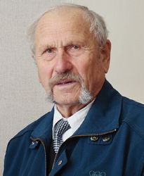 Чайка, так и не взлетевший в небо