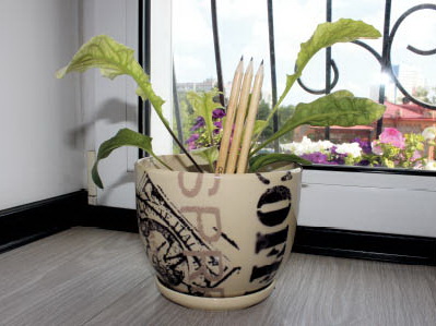 Как вырастить цветок из карандаша