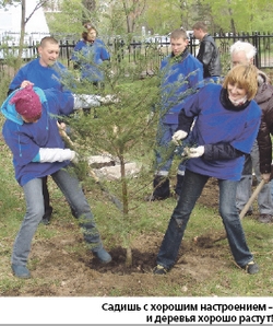 Деревья садят журналисты