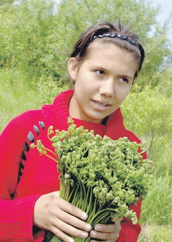 В нашей тайге может и прибыль расти