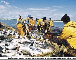 Миллионы километров
