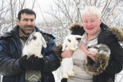 В Новый год с кроликами