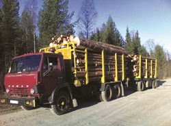 Приоритеты «Дальлеспрома» признаны в России