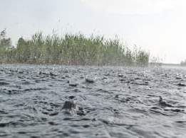 Дожди вызвали подъём уровней воды на ряде рек края