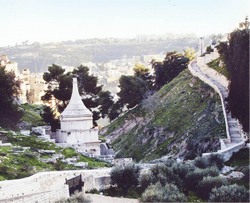 Трое под кепкой-3