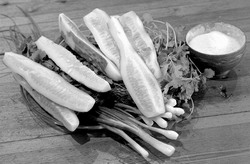 Огурец - дачный молодец