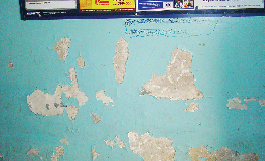 Дом-хамелеон