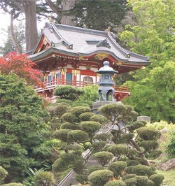 Учёный Виктор Власенко силён не только в математике