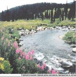 Певцы Приамурья