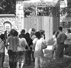 Вас приглашает «Птичий двор»