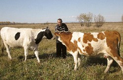 Австралийкам наша диета не по зубам