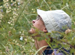 Охотник за пауками