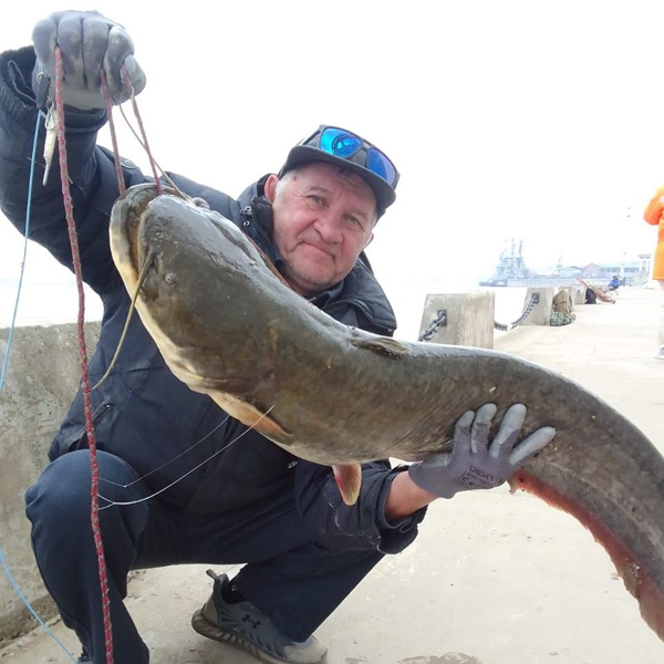 Где эта улица, где этот дом