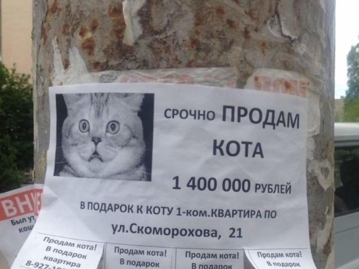 Цены на квартиры в Хабаровске продолжают расти