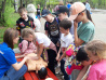 Парк «Динамо» в Хабаровске стал площадкой для здоровья