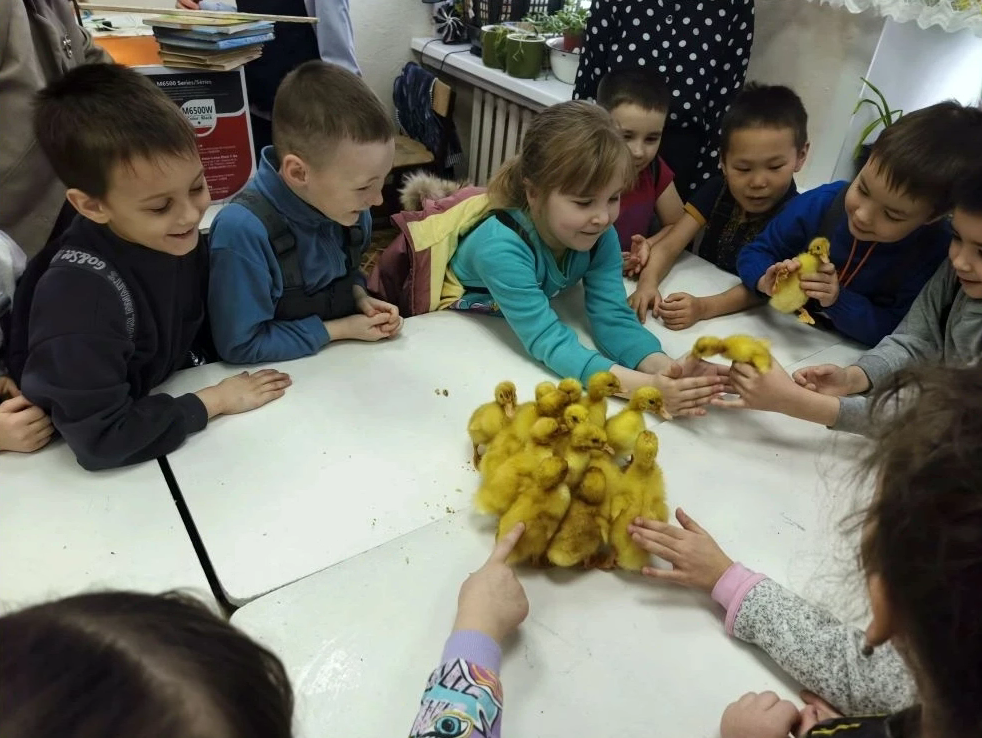 Общение с живой природой учит малышей милосердию