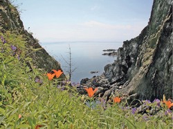 Его планета - Дальний Восток