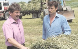 Дожди не мешают энергичным