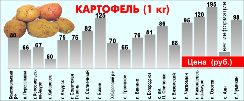 Картофель1.jpg