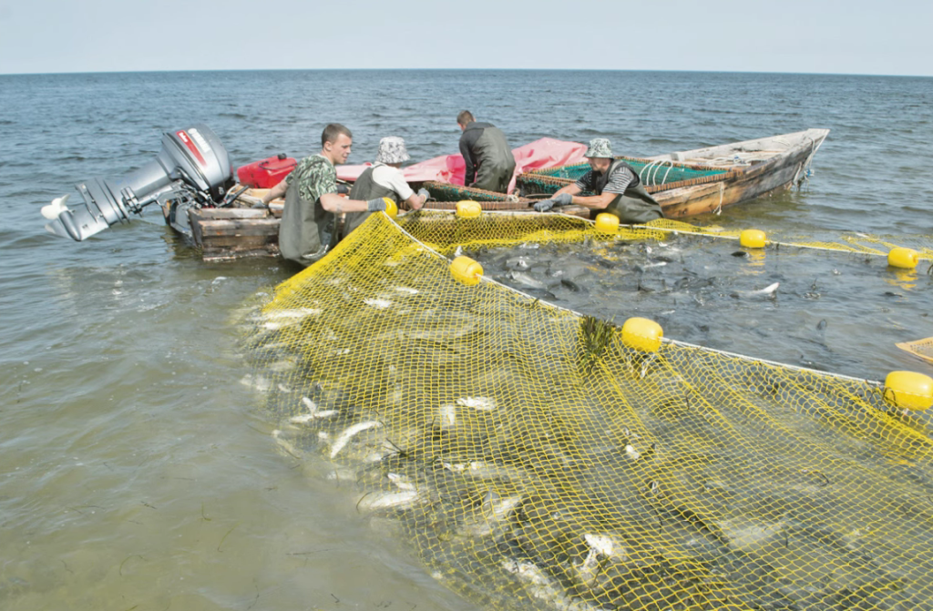 Снимок экрана 2026-07-10 092639.png Снимок экрана 2026-07-10 092639.png